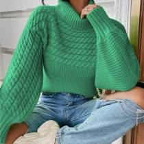 Fashion Turtleneck Long Sleeve Cable Pattern Knitted Sweater