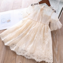 Sweet Style Short Sleeve Round Neck Gauze Spliced Embroidery Princess Dress for Kids